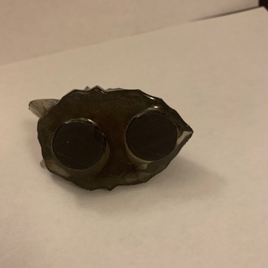Resin Animal head magnets
